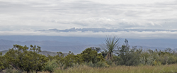 Sierra del Carmen above clouds